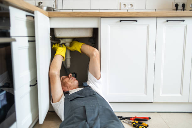 Best Plumbing Repair Near Me  in Roan Mountain, TN