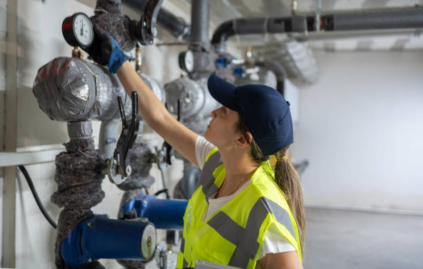 Best Clogged Drain Plumber  in Roan Mountain, TN